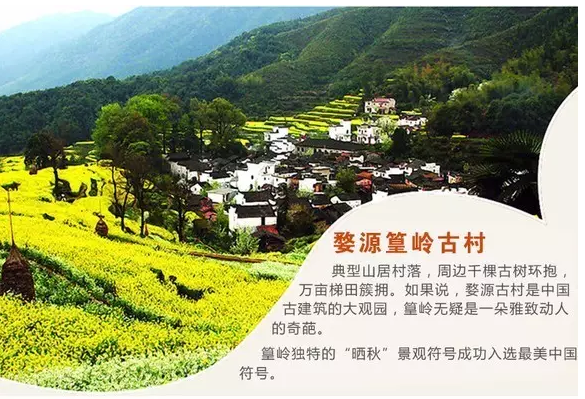 仙篁竹村人口_仙竹草(3)