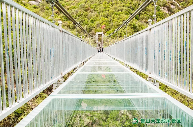 一提到玻璃栈道,闭上眼想一想,相信不少小伙伴的双腿,已经开始一个劲