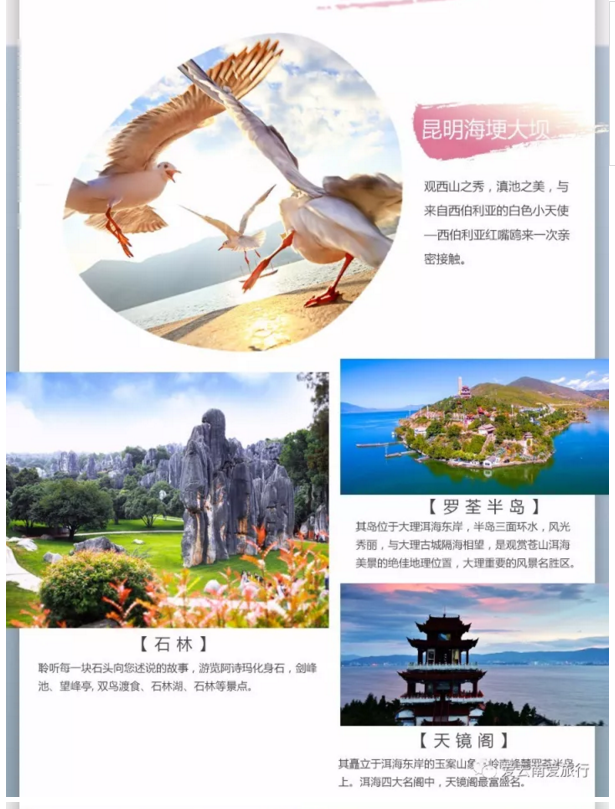 云南--独家专营 昆大丽 双飞一卧奢华六日游 l亮点:/.