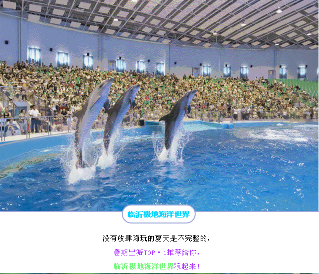 山东--海滨日照,临沂极地海洋世界,尼山夜游高端纯玩三日游