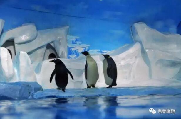 湖北--逛吃武汉二日游